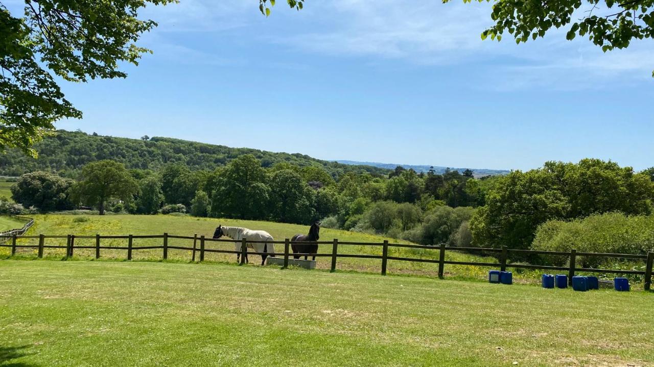 Beautiful Orchid Lodge, Finlake Resort & Spa In Devon Chudleigh Buitenkant foto